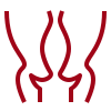icons8 cerviz 100